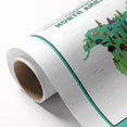 Educational Nursery Wall Decor – North America Continent Map