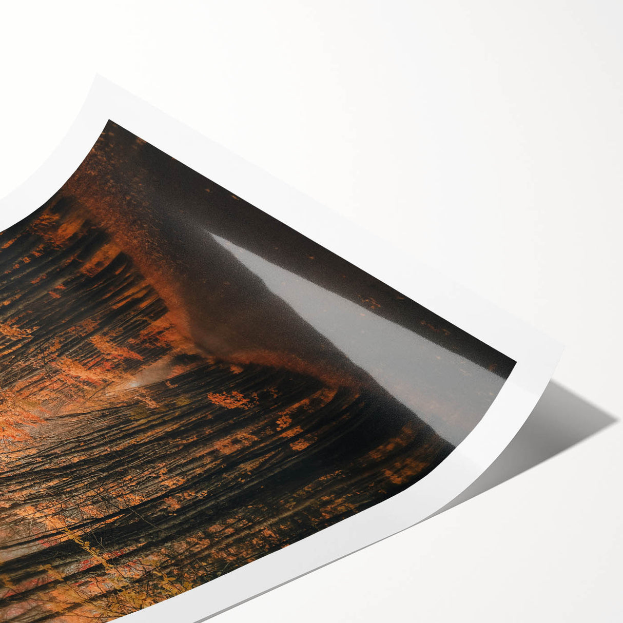 Extra large rolled print featuring line art flowers in muted autumn colors, ideal for large living room wall art.