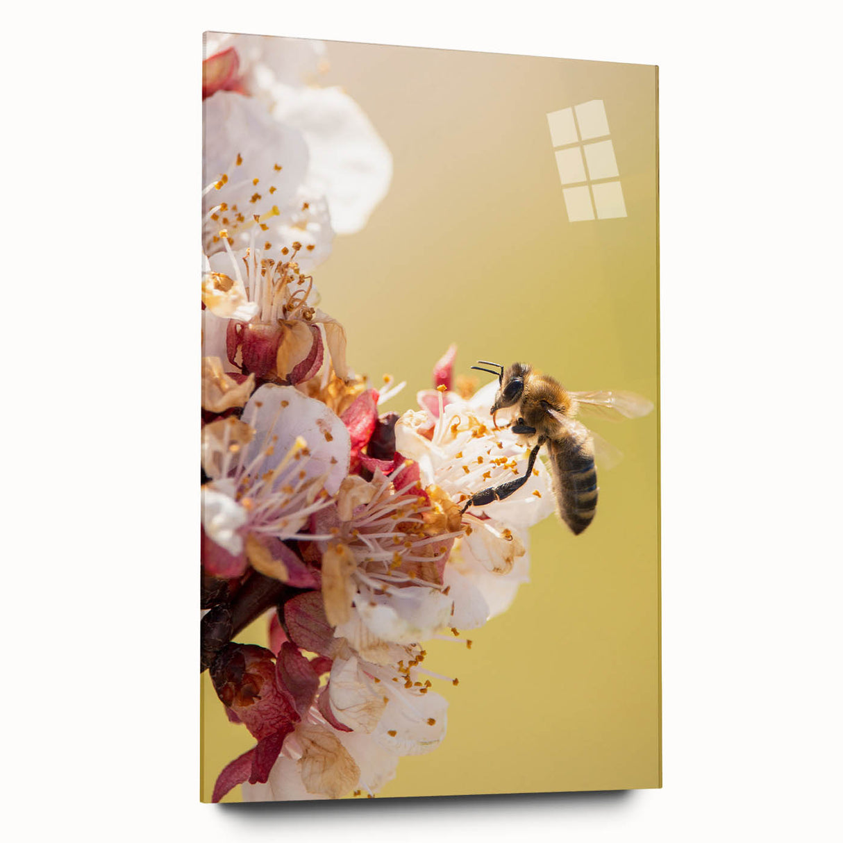 Large abstract wall art on acrylic glass depicting spring themes in soft pastel shades.