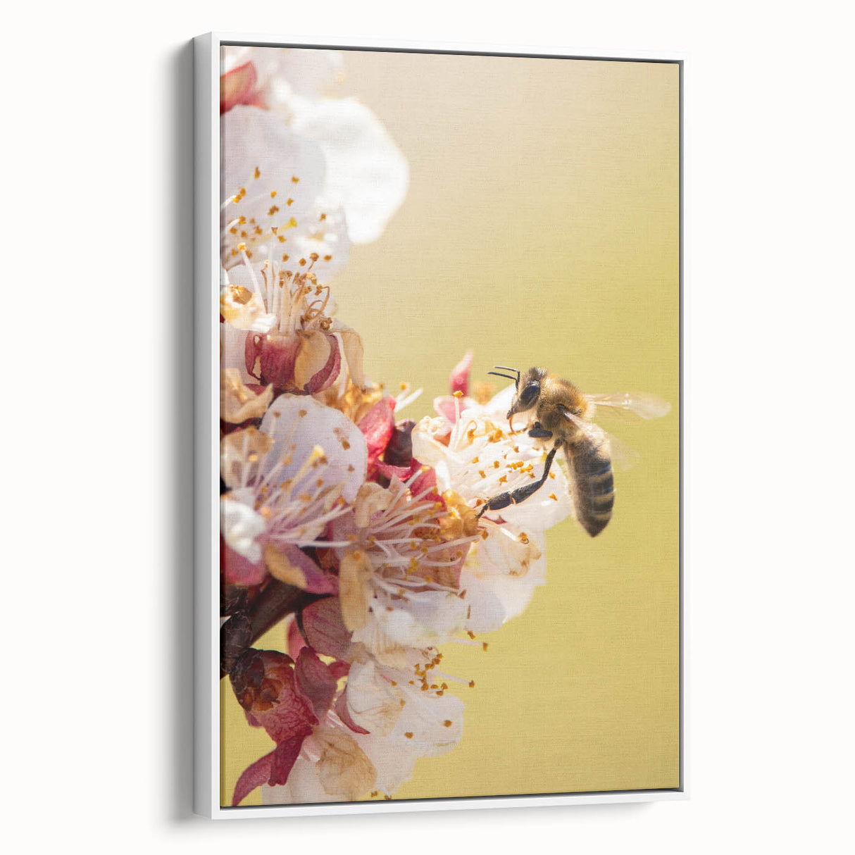 Vintage poster art of a colorful spring season theme on framed canvas, ideal for living room decor.