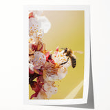 Extra large rolled print featuring a vibrant spring floral design, suitable as art wall dining room decor.