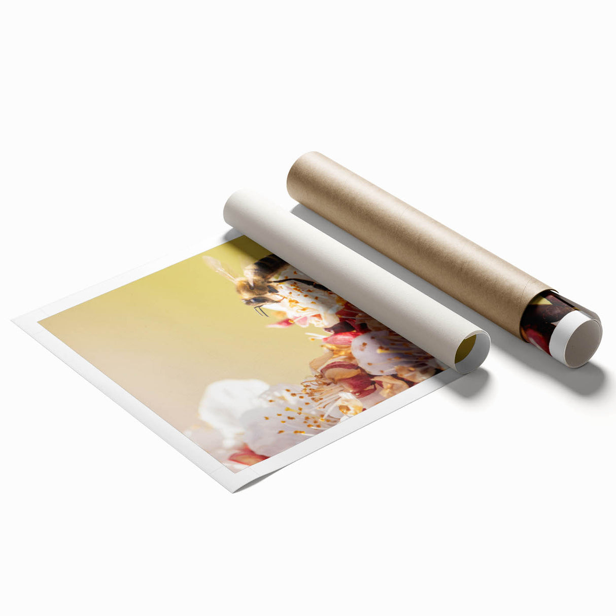 Extra large rolled print featuring vibrant spring floral art, ideal for classy bathroom or large living room decor.