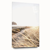 Large abstract wall art in vibrant blue and gold tones on acrylic glass, ideal for bedroom or dining room decor.