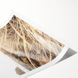 Extra large wall art featuring line art flowers in black on a white background, ideal for large living room decor.