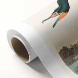 Romantic Art Prints: Florida Cormorant by John James Audubon