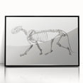 Tiger Skeleton Lateral View Realism Art Print - George Stubbs Anatomy Art