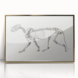 Tiger Skeleton Lateral View Realism Art Print - George Stubbs Anatomy Art