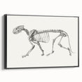 Tiger Skeleton Lateral View Realism Art Print - George Stubbs Anatomy Art