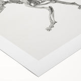 Tiger Skeleton Lateral View Realism Art Print - George Stubbs Anatomy Art