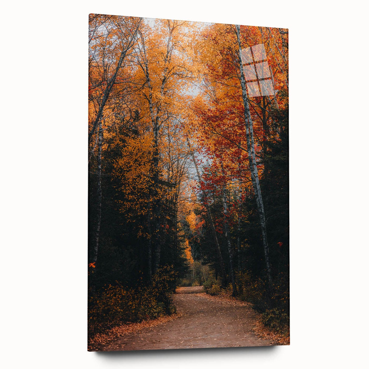 Large abstract wall art featuring swirling autumn hues on acrylic glass, suitable for bedroom or dining room decor.
