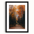 Extra large abstract art print featuring textured, colorful autumn-themed shapes on a black framed canvas.