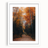 Abstract art print depicting autumnal trees in orange and red tones on a white framed mat, suitable for dining room decor.