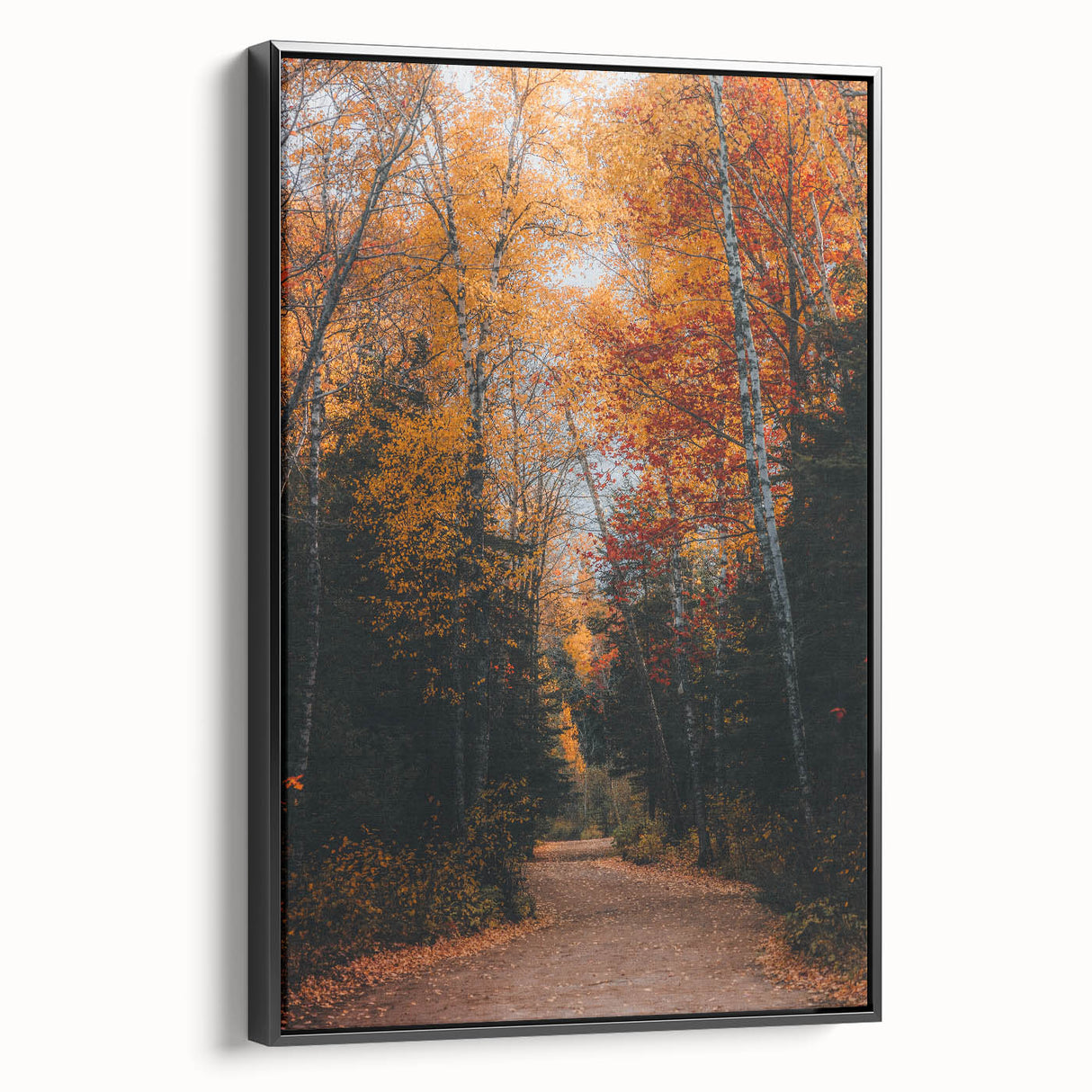 Black and white framed canvas depicting a vintage landscape scene, ideal for bedroom wall decor.