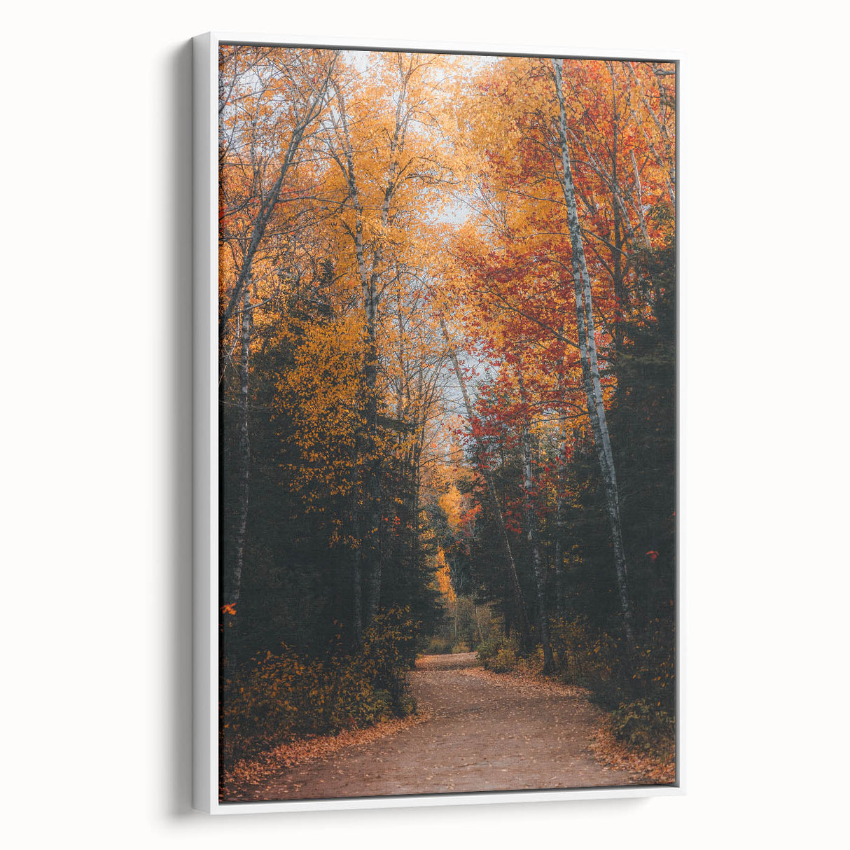 Vintage poster art featuring an autumnal scene with colorful leaves on a black background, framed canvas.