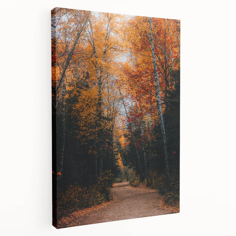 Autumnal tree with orange leaves on large stretched canvas, ideal for kitchen wall art.
