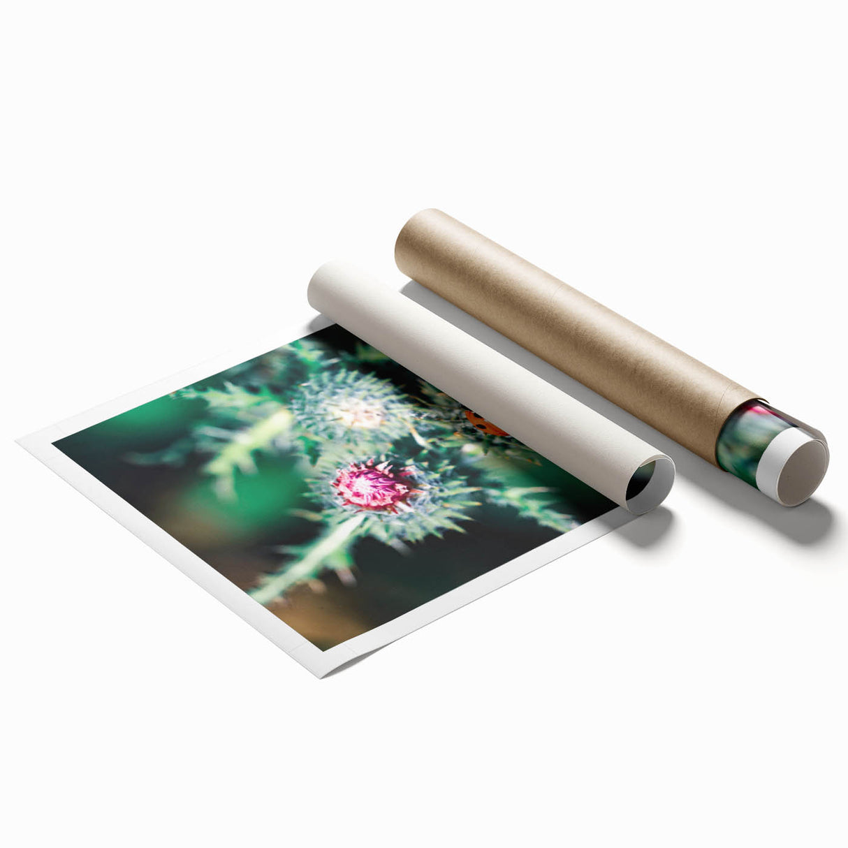 Extra large rolled print featuring a vibrant spring floral design in pastel shades, ideal for classy bathroom wall art.