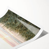 Extra large wall art featuring line art flowers in black on white, rolled print, ideal for large living room wall decor.