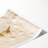 Extra large wall art featuring line art flowers in black on white canvas, ideal for large living room decor.