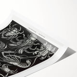 Modern Wall Art - Ernst Haeckel’s Decapoda Illustration Print