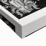 Modern Wall Art - Ernst Haeckel’s Decapoda Illustration Print