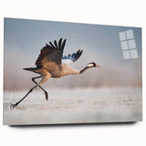 Acrylic glass wall art collection showcasing a modern design with vibrant colors, viewed from the side, highlighting its sleek finish and absence of pins. Ideal for contemporary home decor.