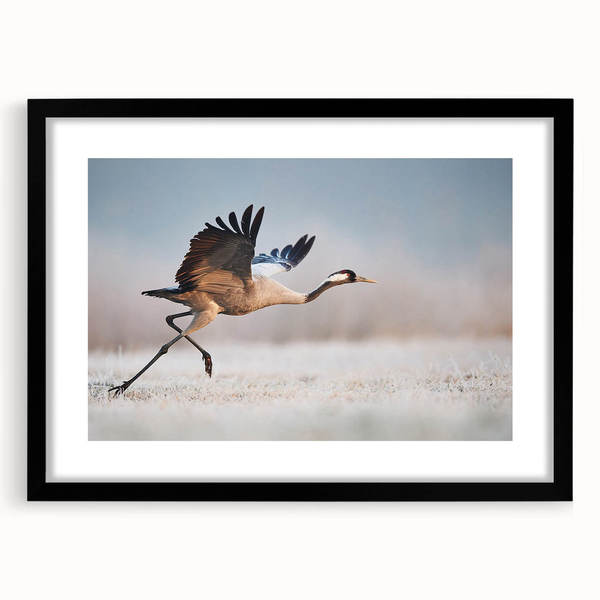 Black-framed wall art collection showcasing modern abstract designs with a mat, perfect for contemporary home decor. Ideal for living room or office enhancement.