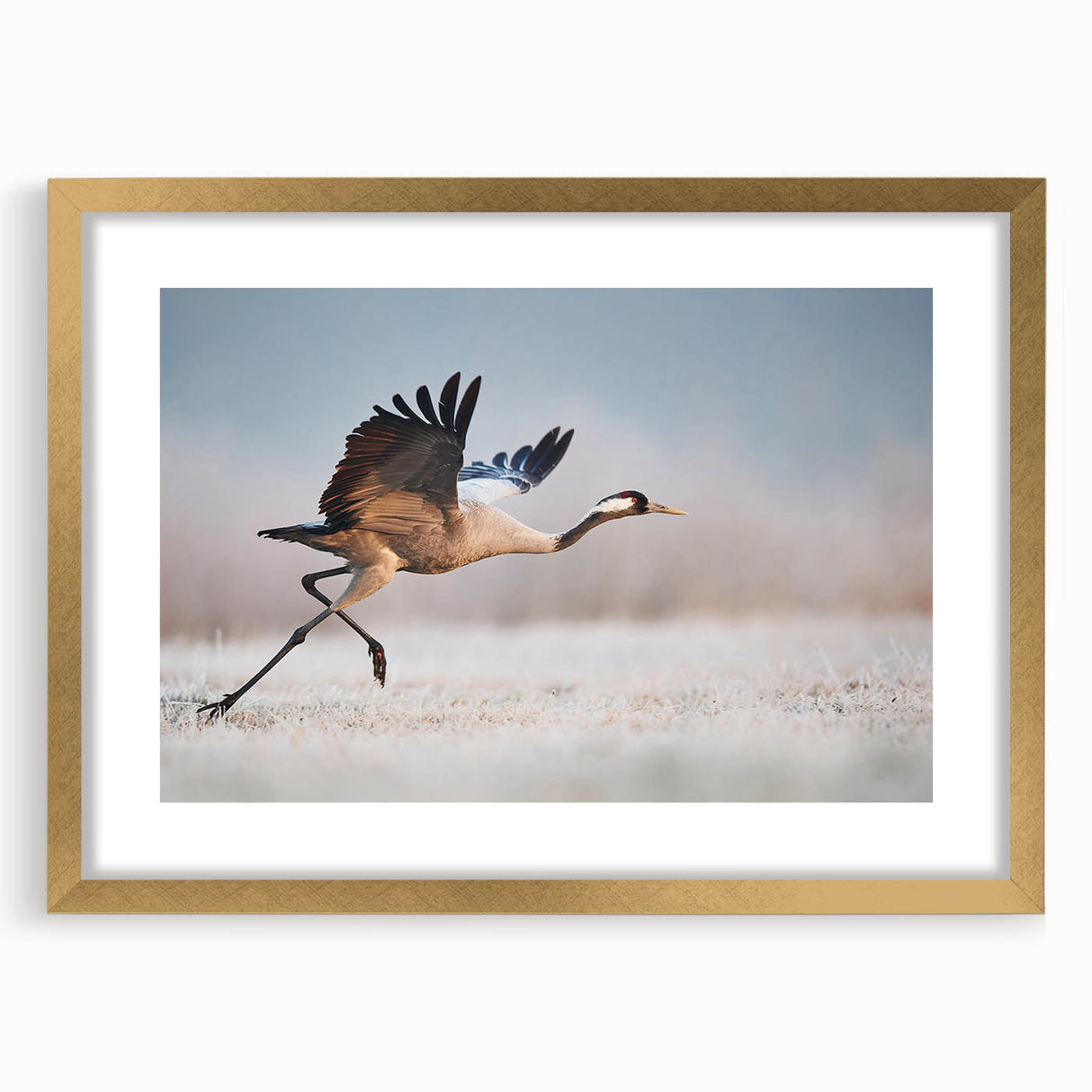 Elegant gold-framed wall art collection showcasing modern abstract designs with a matte finish, perfect for enhancing contemporary home decor aesthetics. Ideal for living rooms or office spaces.