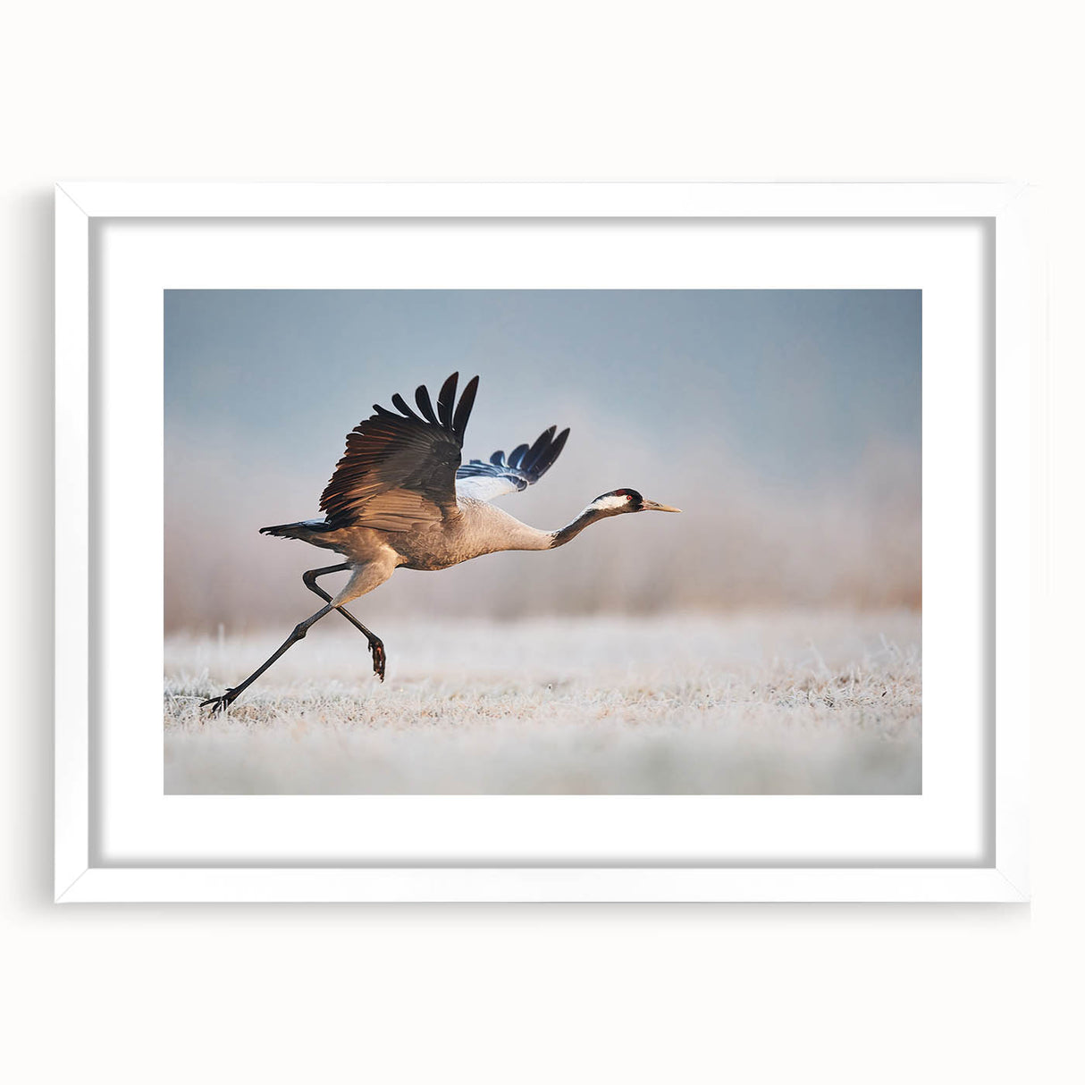 Framed white wall art collection featuring three abstract designs, showcasing vibrant colors and modern aesthetics, perfect for contemporary home decor.