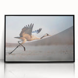 Framed acrylic wall art featuring a modern abstract design in black, showcasing geometric shapes and lines, perfect for contemporary home decor.