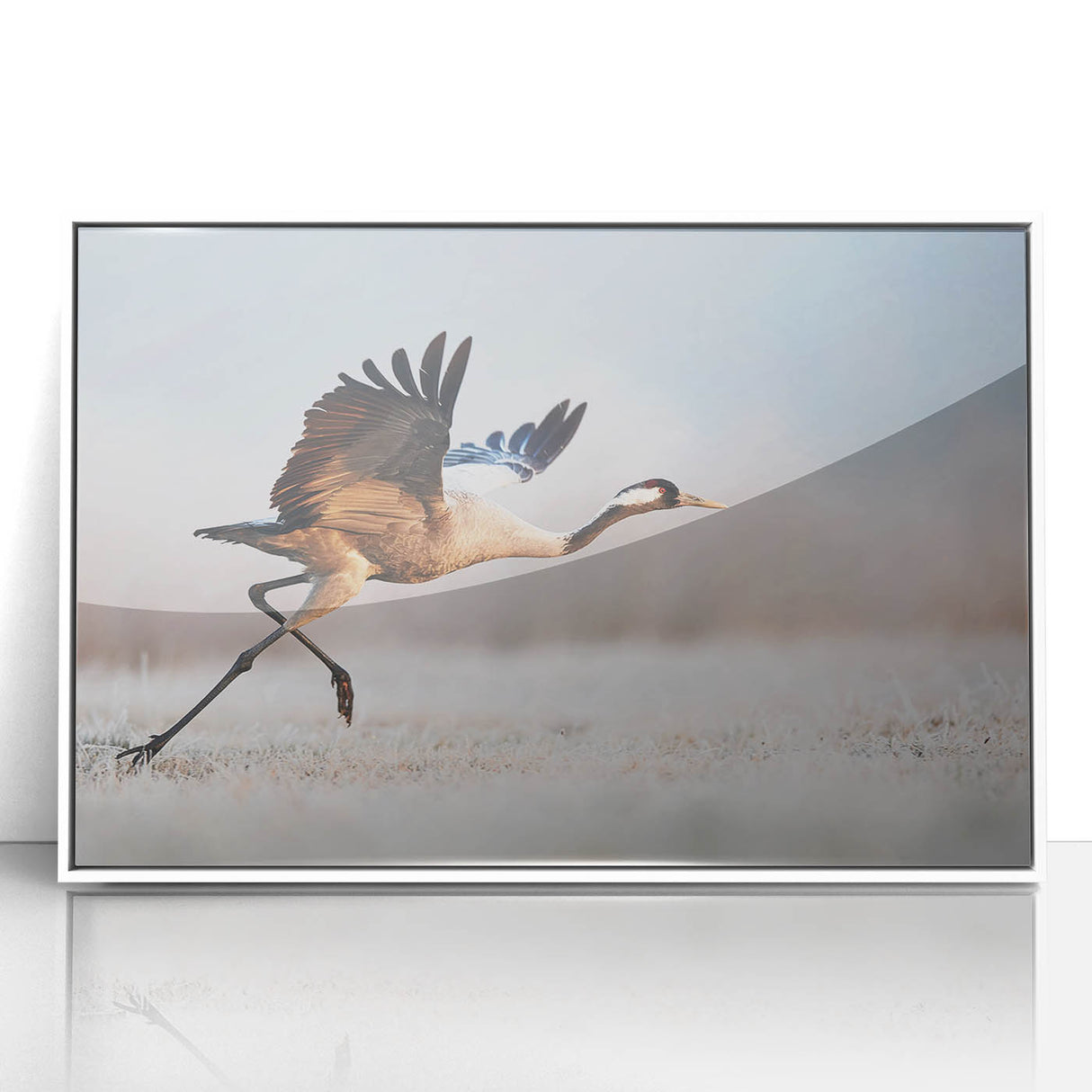 Framed acrylic wall art collection showcasing a modern abstract design with a white frame, set against a minimalist backdrop, perfect for contemporary home decor.