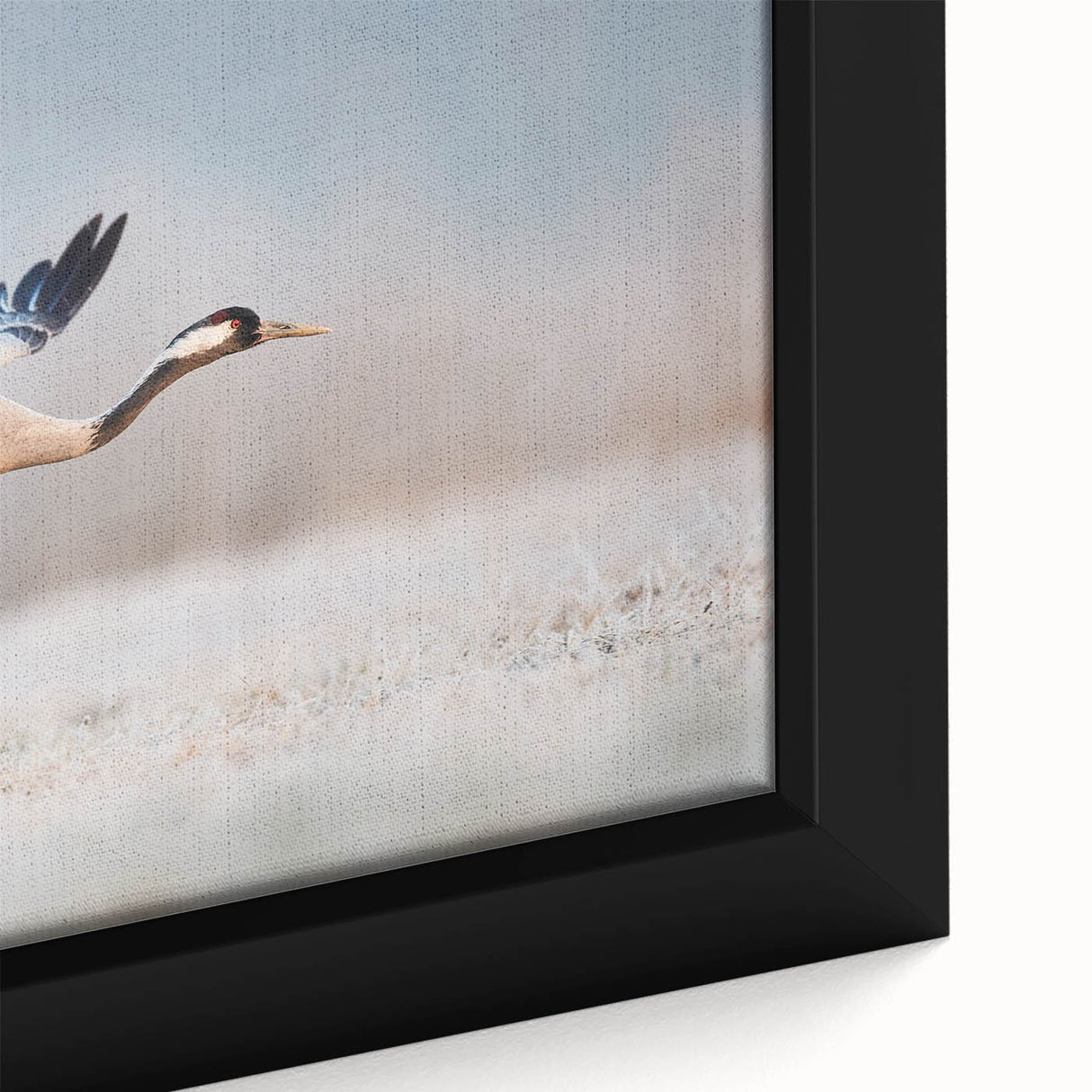 Framed canvas wall art collection showcasing modern abstract designs with vibrant colors and intricate details, perfect for contemporary home decor.