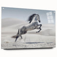 Acrylic wall art collection showcasing vibrant abstract designs, displayed in a modern setting with clear glass and decorative pins, ideal for contemporary decor.