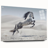Acrylic wall art collection showcasing vibrant abstract designs, displayed in a modern setting with clear glass and decorative pins, ideal for contemporary decor.