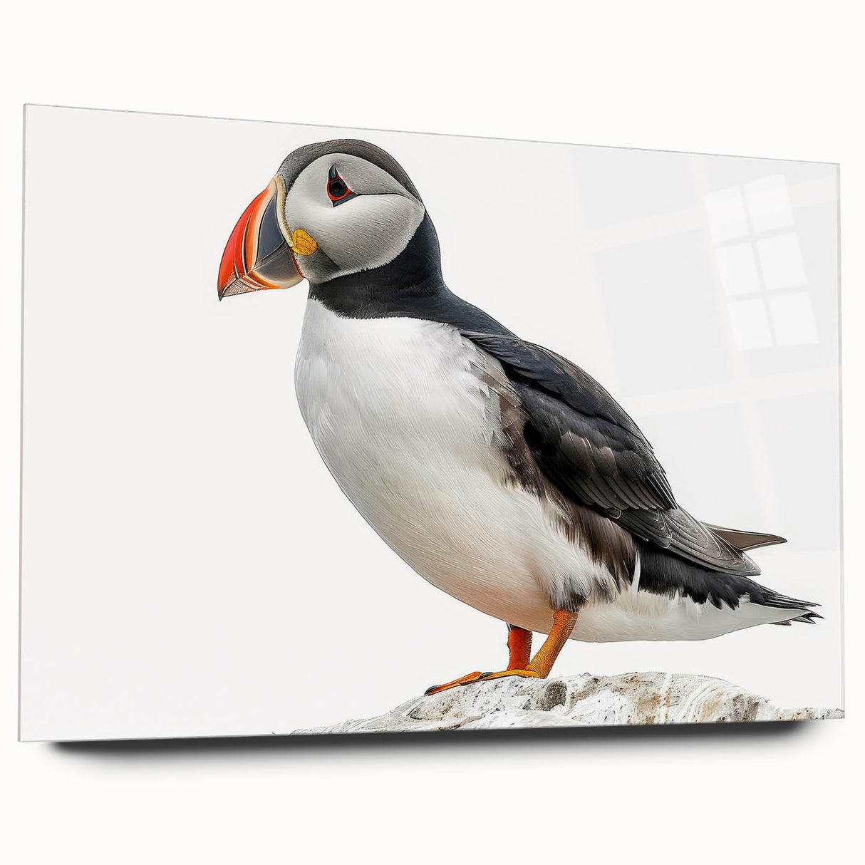 Acrylic glass wall art collection displayed in a modern setting, showcasing vibrant colors and intricate patterns, emphasizing contemporary design aesthetics.