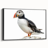 Framed canvas wall art showcasing a modern abstract design in vibrant colors, featuring a sleek black frame and a side view that highlights its depth and texture. Perfect for contemporary home decor.