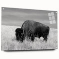 Acrylic glass wall art collection showcasing vibrant abstract designs, displayed in a modern side view with decorative pins, enhancing home decor aesthetics.