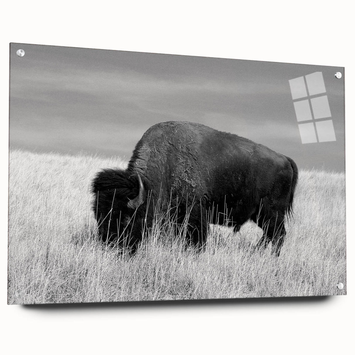 Acrylic glass wall art collection showcasing vibrant abstract designs, displayed in a modern side view with decorative pins, enhancing home decor aesthetics.