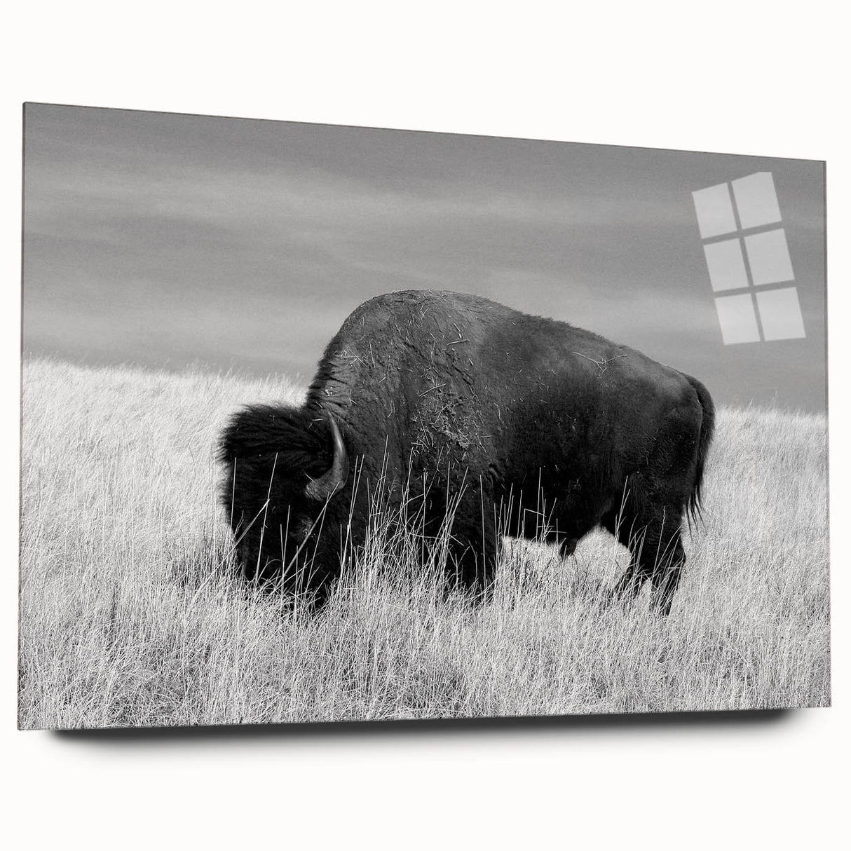 Acrylic wall art collection displayed in a modern setting, showcasing vibrant colors and intricate designs, viewed from the side without pins, perfect for contemporary decor.