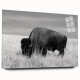 Acrylic wall art collection displayed in a modern setting, showcasing vibrant colors and intricate designs, viewed from the side without pins, perfect for contemporary decor.