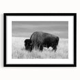 Black framed wall art collection showcasing a modern abstract design with matting, ideal for contemporary home decor, displayed from a front view.