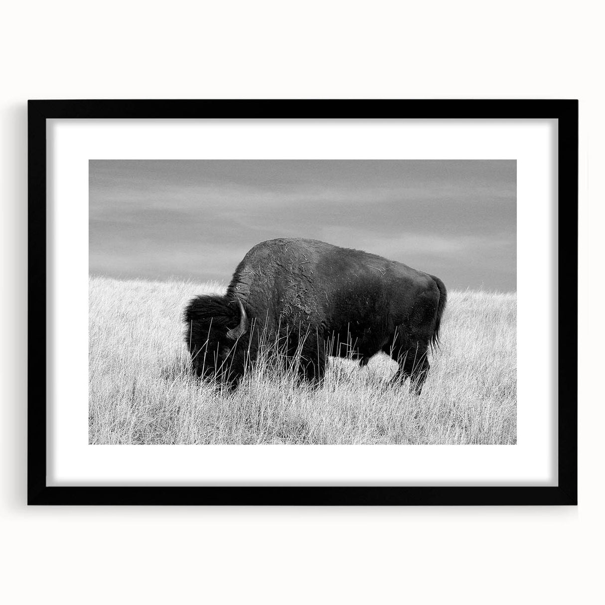 Black framed wall art collection showcasing a modern abstract design with matting, ideal for contemporary home decor, displayed from a front view.