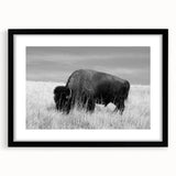 Black framed wall art collection showcasing a modern abstract design with matting, ideal for contemporary home decor, displayed from a front view.