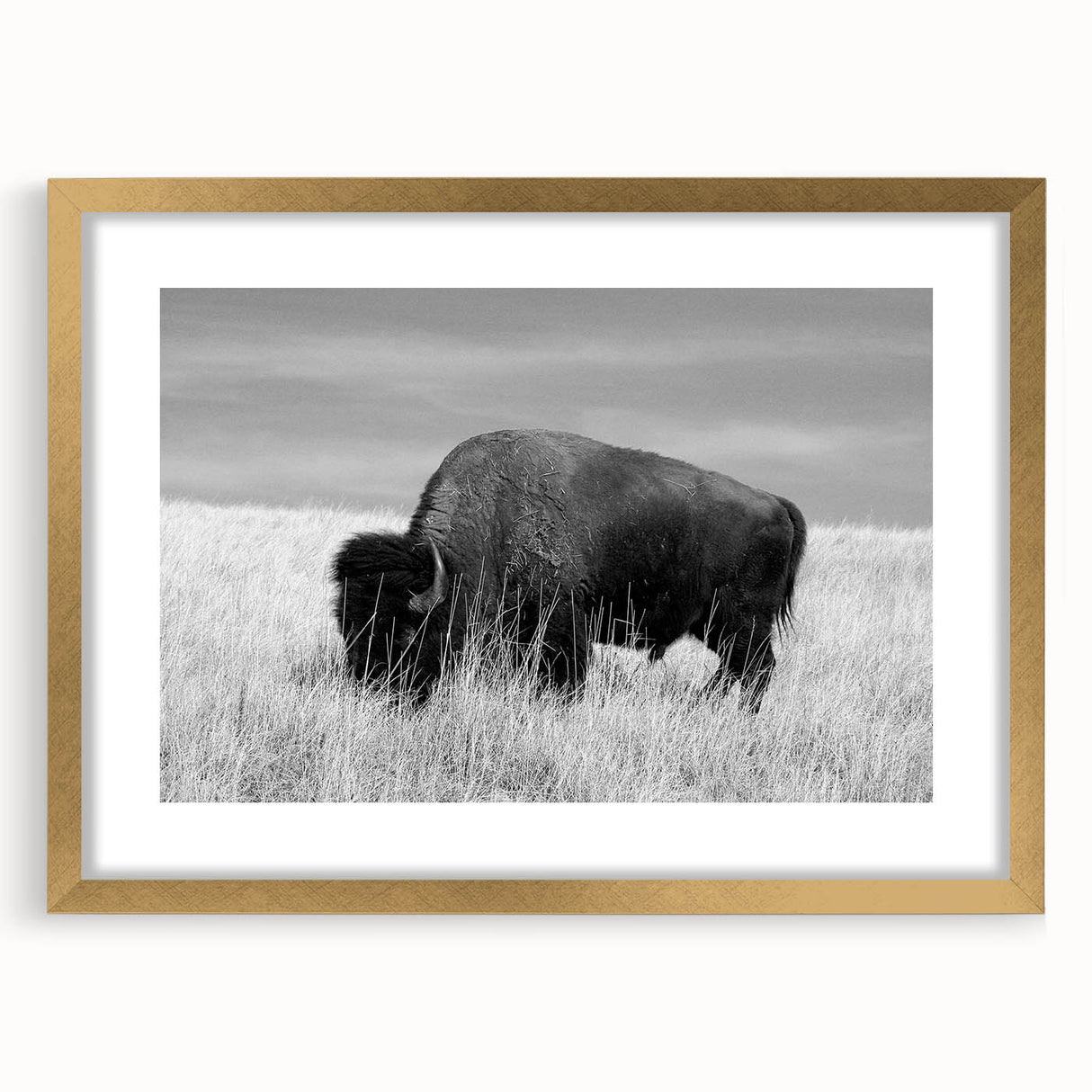 Gold-framed wall art display showcasing a modern abstract design, elegantly matted for added depth, perfect for enhancing contemporary home decor.