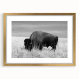 Gold-framed wall art display showcasing a modern abstract design, elegantly matted for added depth, perfect for enhancing contemporary home decor.