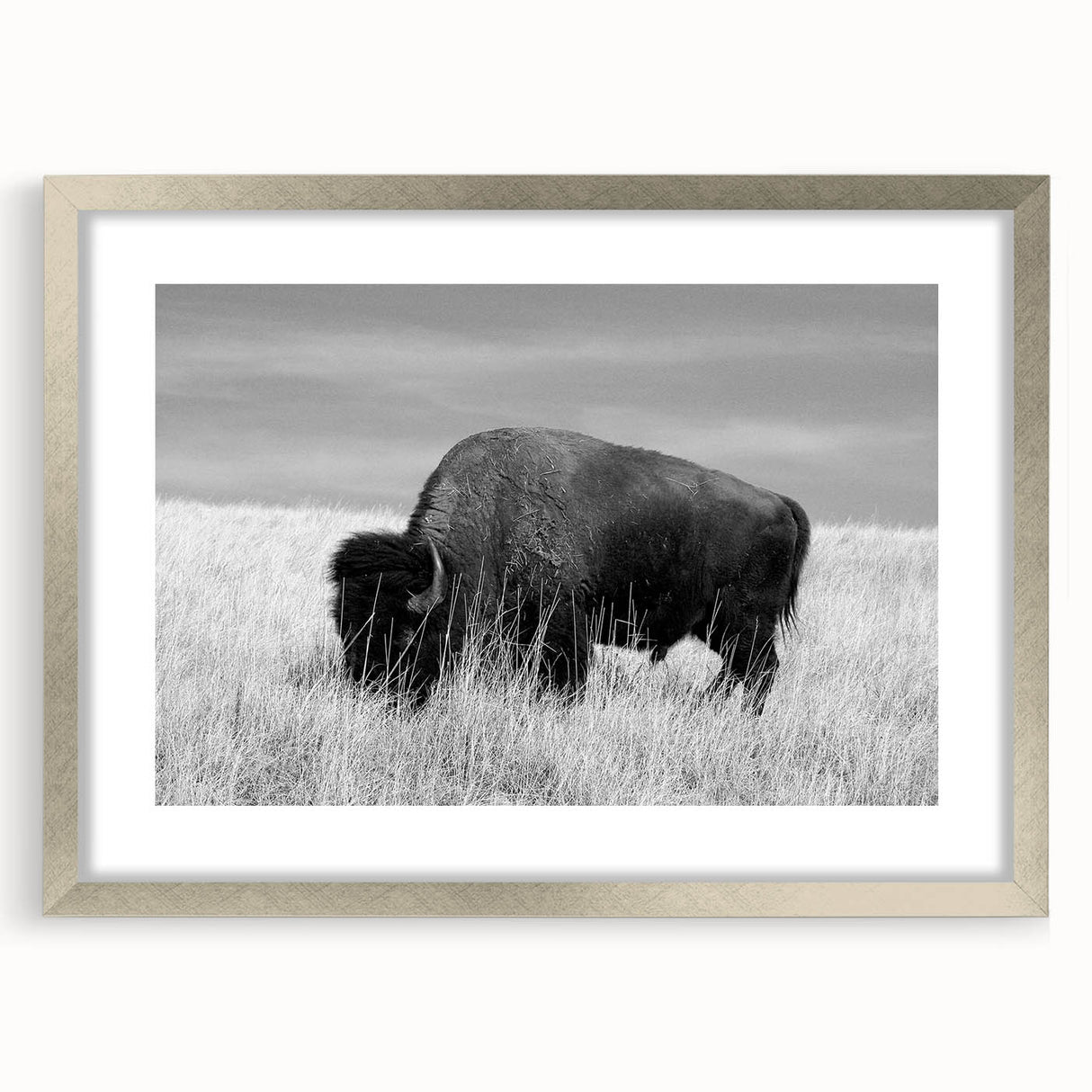 Framed wall art collection featuring a sleek silver frame and mat, showcasing an elegant design perfect for home decor, displayed from a front view.