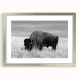 Framed wall art collection featuring a sleek silver frame and mat, showcasing an elegant design perfect for home decor, displayed from a front view.