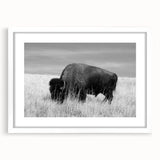White-framed wall art featuring a minimalist design, showcasing abstract shapes and soft colors, ideal for modern home decor accents.