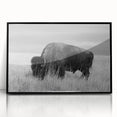 Framed acrylic wall art collection showcasing a modern black design, highlighting geometric patterns and sleek lines, perfect for contemporary home decor.