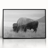 Framed acrylic wall art collection showcasing a modern black design, highlighting geometric patterns and sleek lines, perfect for contemporary home decor.