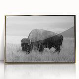 Framed acrylic wall art featuring a modern gold design, showcased in a sleek frame against a white background, perfect for contemporary home decor.
